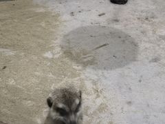 -顺德南宏海立方海洋公园