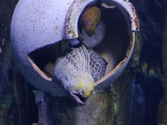 -珠海长隆海洋王国