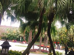 -厦门日月谷温泉渡假村