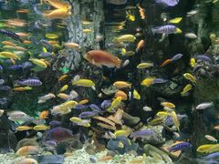 -太平洋海底世界