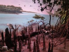-中国湿地博物馆