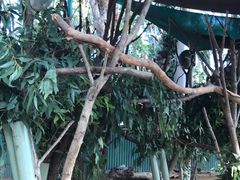 -可伦宾野生动物保护区