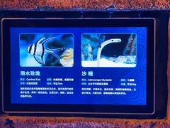 -哈尔滨波塞冬海底世界