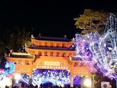 -松山湖梦幻百花洲
