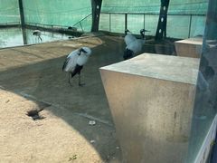 -盐城丹顶鹤湿地生态旅游区