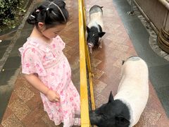 -启东恒大海上威尼斯酒店