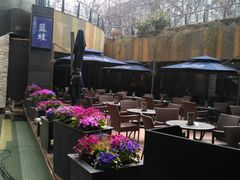 -bluefrog蓝蛙(水游城店)