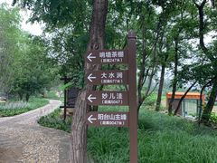 -阳台山自然风景区