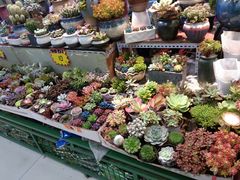 -三旗百汇商品城