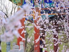 -颐和园