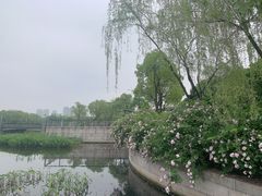 -尚贤河湿地