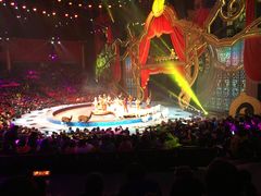 -珠海横琴长隆《卡卡虎奇遇记》