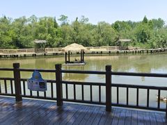 -溱湖国家湿地公园