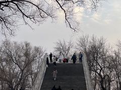 -颐和园