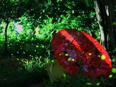 -卜蜂莲花(辽阳西路店)