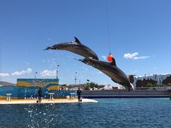 -秦皇岛乐岛海洋王国