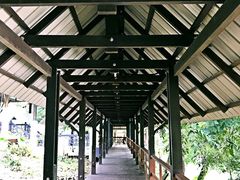 -乌鲁淡布隆国家公园