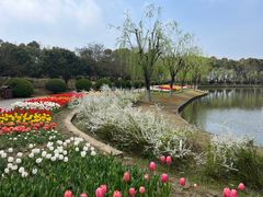 -上海鲜花港