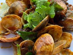 -旗鱼海番村(Orang Asli)