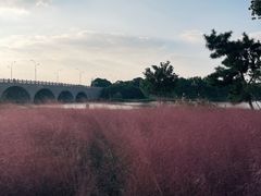 -阳澄湖半岛旅游度假区