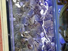 -青石桥市场北1-27号