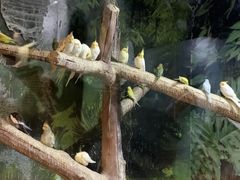-苏州海洋馆