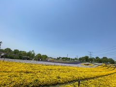 -上海杨姆庄园