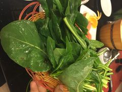 鑫阿一旦黑山羊(旗舰店)-香丽缘饭馆(黑龙潭店)