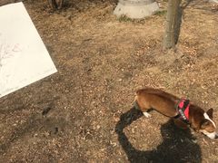 -武清南湖绿博园