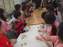 -前小桔亲子创意农场·草莓采摘·露营烧烤