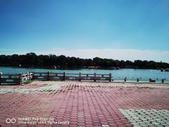 -北陵公园