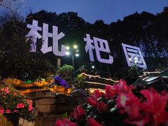 -枇杷园食为鲜火锅(南山店)