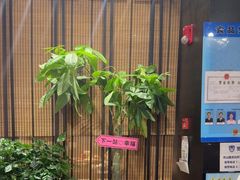 -满来寿喜烧(金虹桥店)