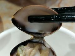 -顺德哥卜卜贝(旗舰店)