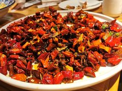 -茅庐毛血旺(烟台大悦城店)
