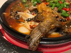 -潇湘码头·鲜湘菜(清河店)