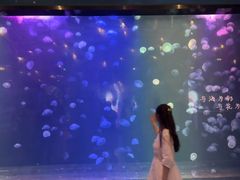 -南昌融创海世界