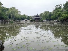 -莲池书院博物馆