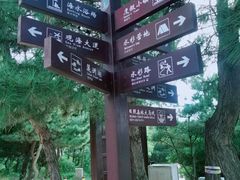 -日照海滨国家森林公园