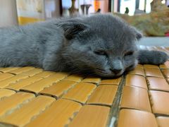 -百壬推灸馆·小儿推拿(中航华府店)