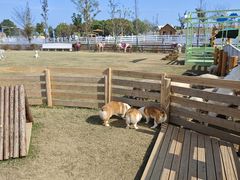 -苏州太湖西山岛开心农场