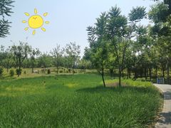 -东郊湿地公园