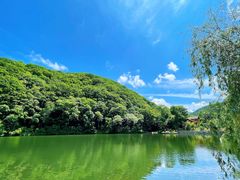 -参仙谷生态旅游度假区