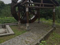 -同里国家湿地公园