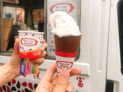 -富豪雪糕车流动点(尖沙咀店)