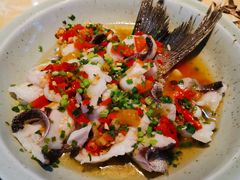 -魏铭鱼头捞饭(晋阳路店)