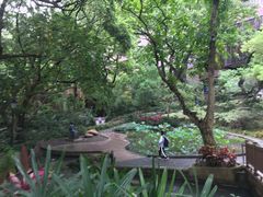 -香港大学