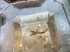 -成都你六姐·牛肉冒菜(城市集市合生汇店)