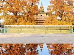 -北京石刻艺术博物馆(五塔寺)