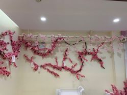 点击看大图 -玛妮雅科技纤体美容